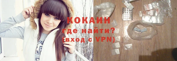 шишки Лагань