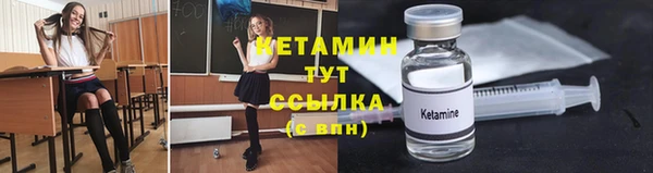 шишки Лагань