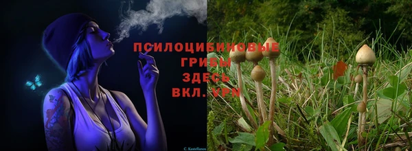 шишки Лагань