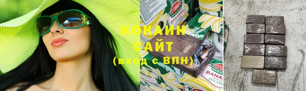 шишки Лагань