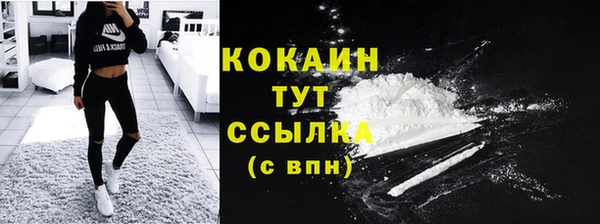 дживик Лабытнанги
