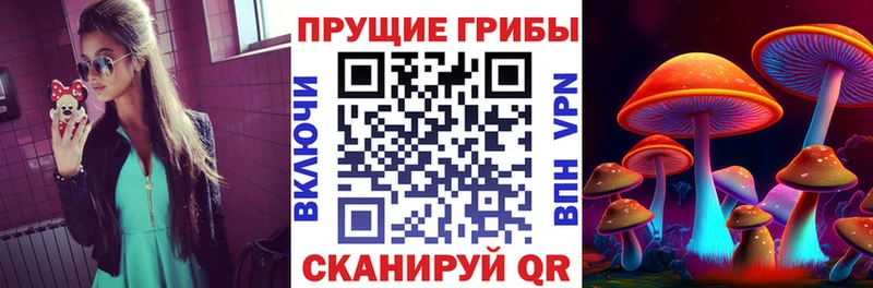 Купить где  Облучье  Галлюциногенные грибы Psilocybine cubensis 