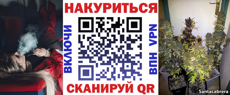 Купить Облучье Каннабис семена